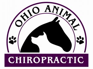 Ohio_Animal_Chiro_vistaprint_jpg Ohio_Animal_Chiro_vistaprint_jpg
