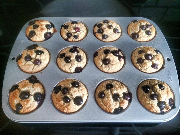 Gluten Free Blueberry Muffins